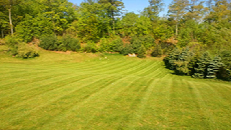 Best varieties of Walkway Designs in New Canaan CT