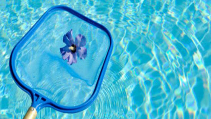 Keep Your Pool Clean and Safe with a Pool Cleaning Service in League City