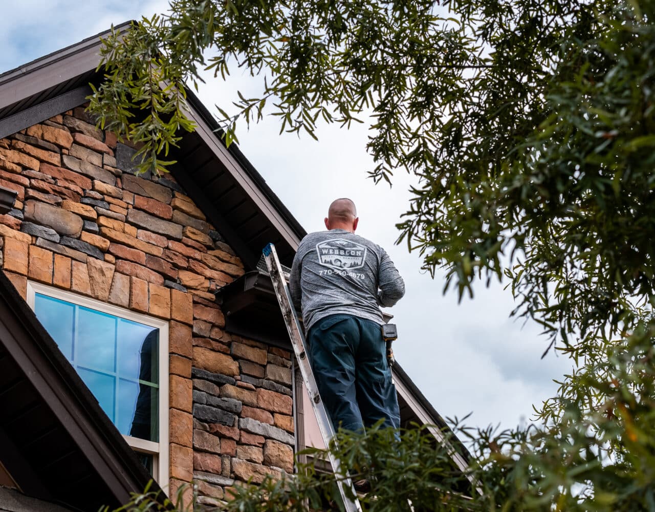 Hire Experts to Handle The Removal of Squirrels in an Attic in Fayetteville, GA