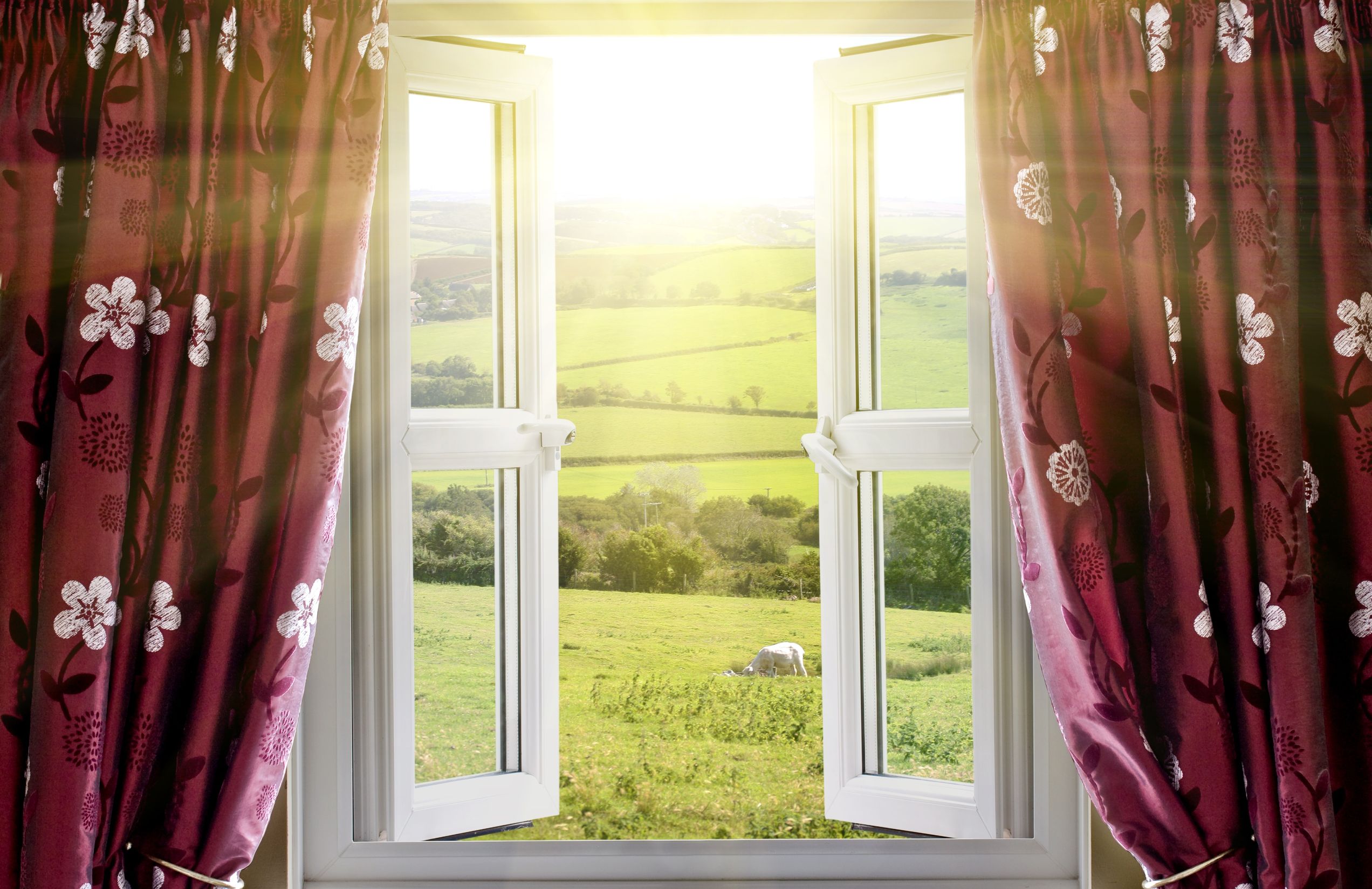 Finding a Window Curtain Sale in Lakeland, FL