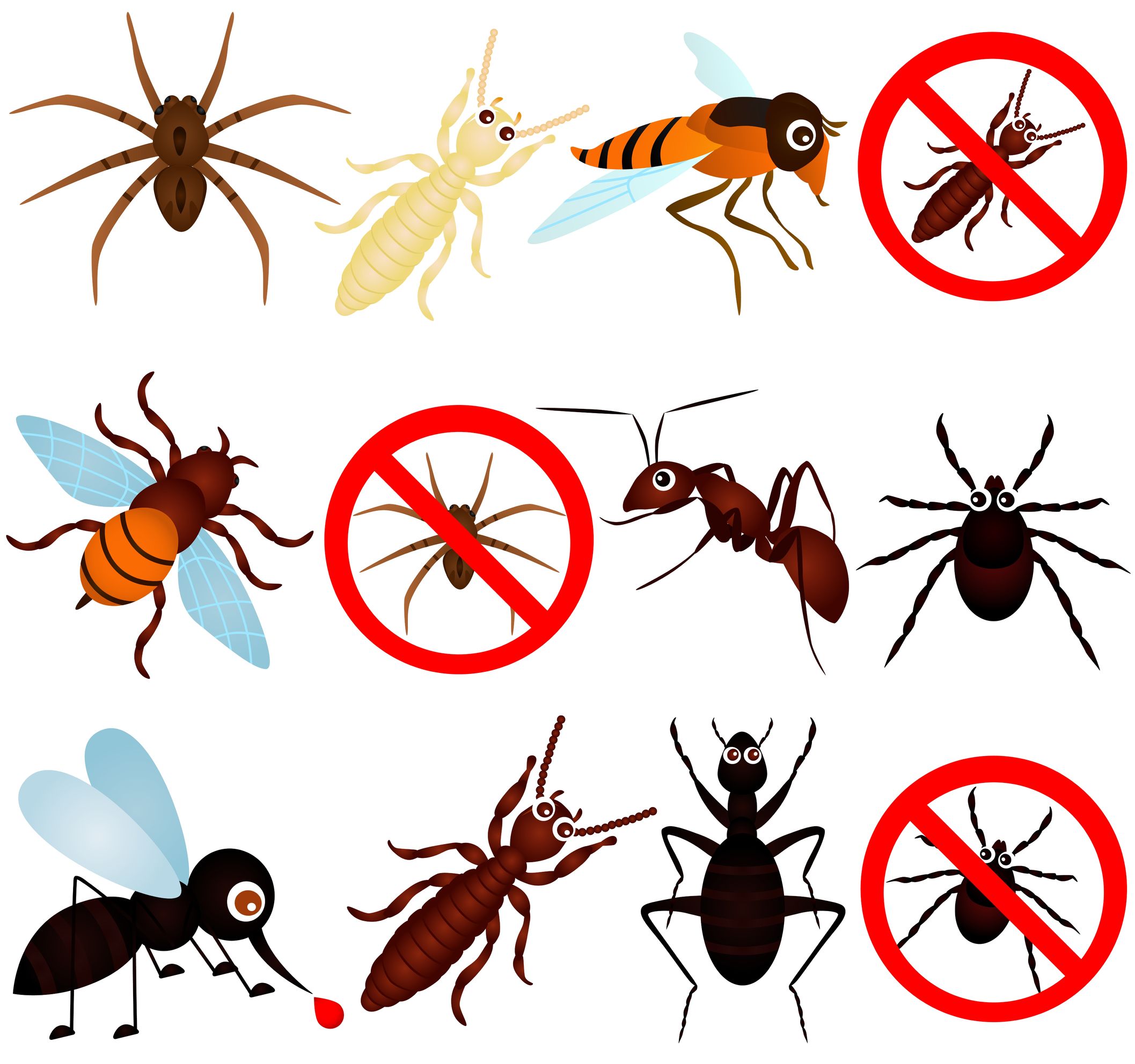 4 Non-Chemical Methods Employed by a Professional Pest Control Company in Rochester, NY