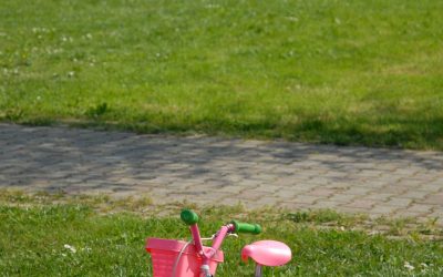 Master Property Prep with Land Clearing, Fort Walton Beach, FL, for a Fresh Start