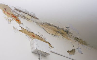 Solve Water Damage Quickly with a Local Restoration Company, Bellevue, WA, Near You