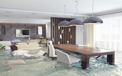 Damage Restoration Company Bellevue WA: A Practical Guide for Choosing the Right Service